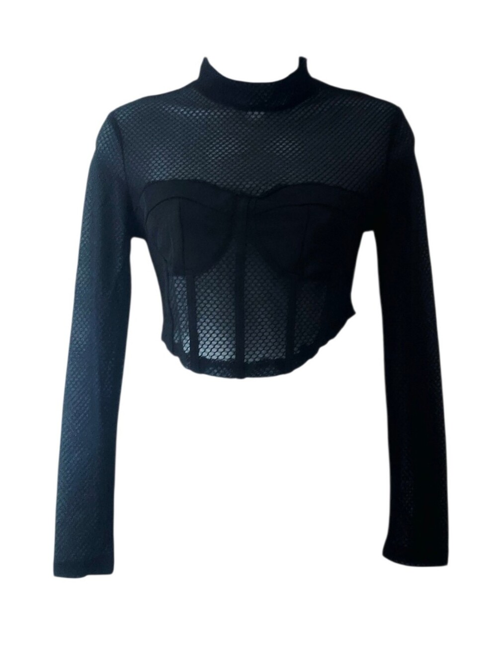 Mesh Semi Sheer Black Long-Sleeve Crop Top